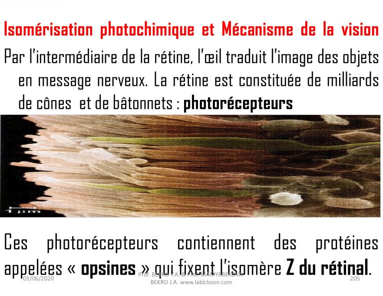 page0205 – Laboratoire de Chimie BioOrganique et de Substances Naturelles